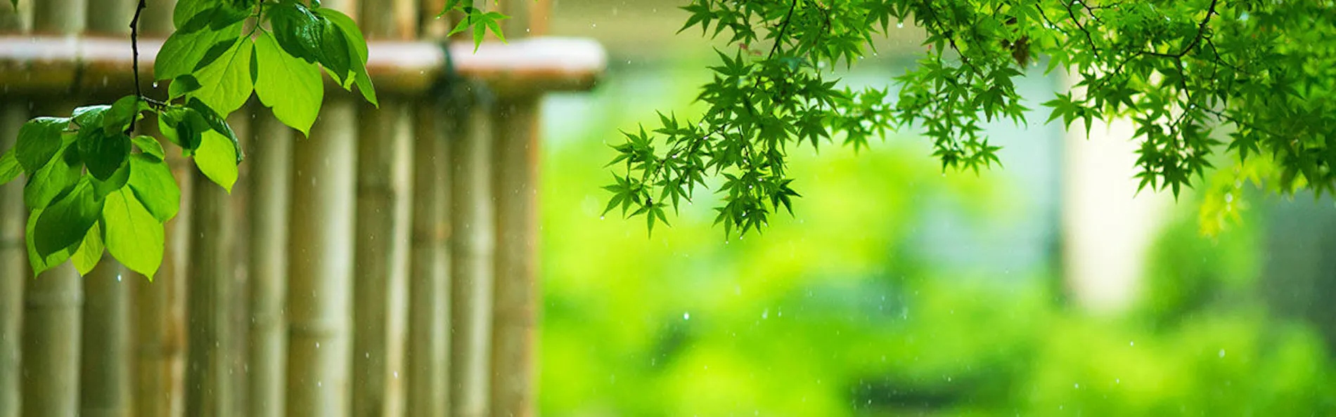 湯めぐりの宿 楠水閣