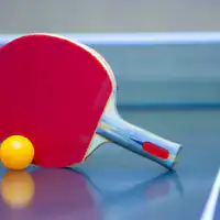 卓球