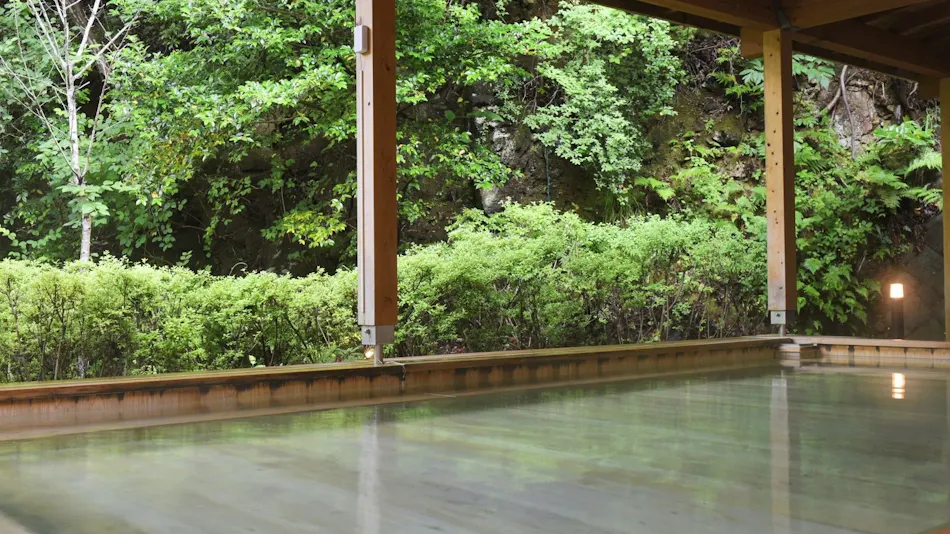Livemax Resort Atami Forest