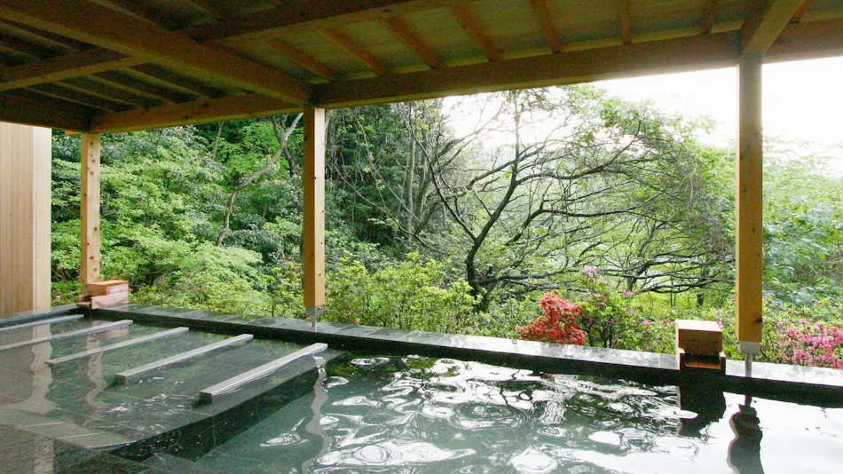 Livemax Resort Atami Forest