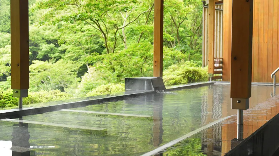 Livemax Resort Atami Forest