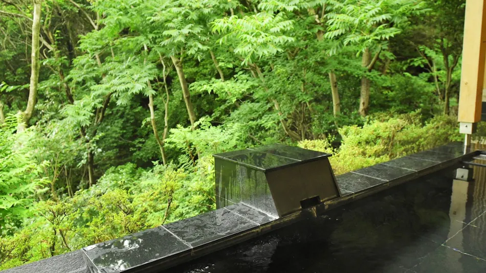 Livemax Resort Atami Forest