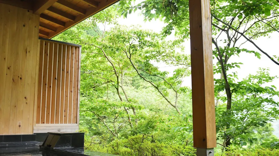 Livemax Resort Atami Forest