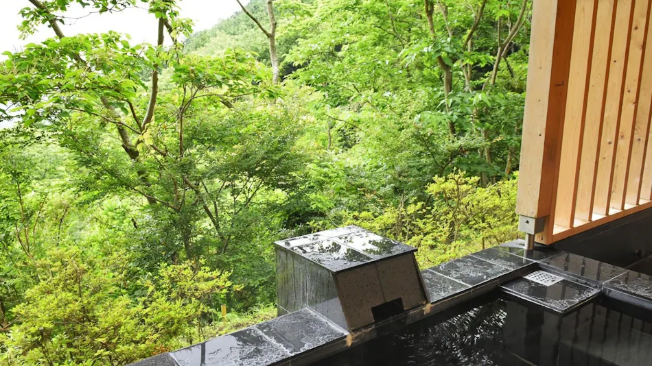 Livemax Resort Atami Forest