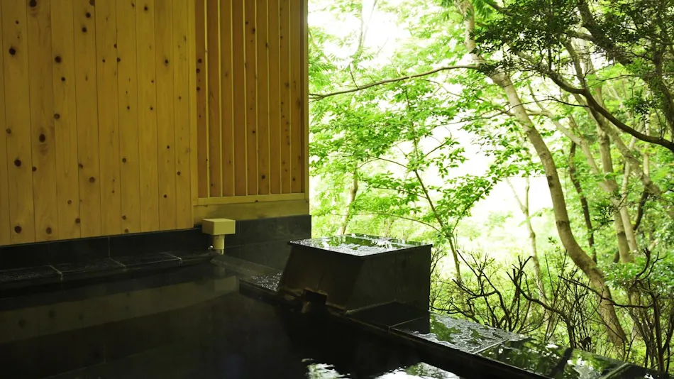Livemax Resort Atami Forest
