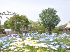 里山ホテル　ときわ路