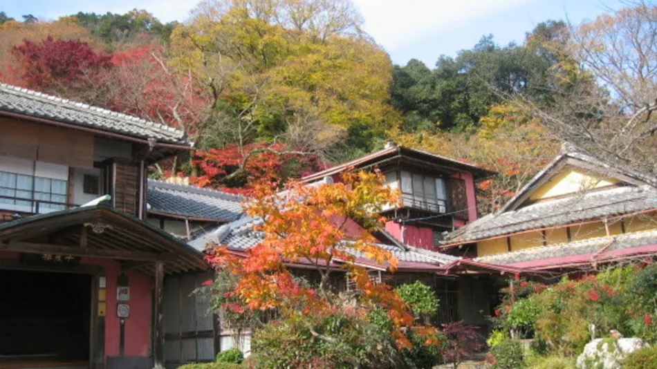 Senzairo