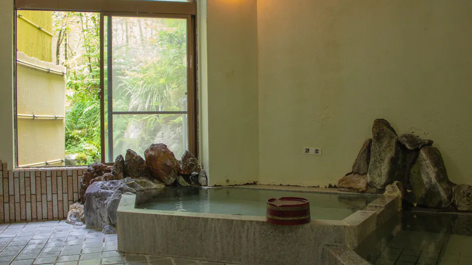 Seiko Ryokan