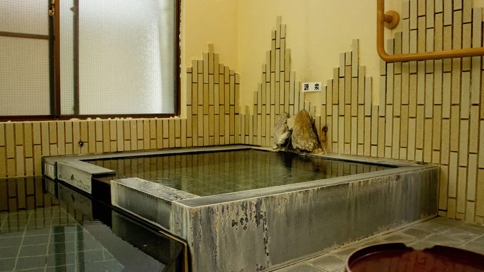 Seiko Ryokan