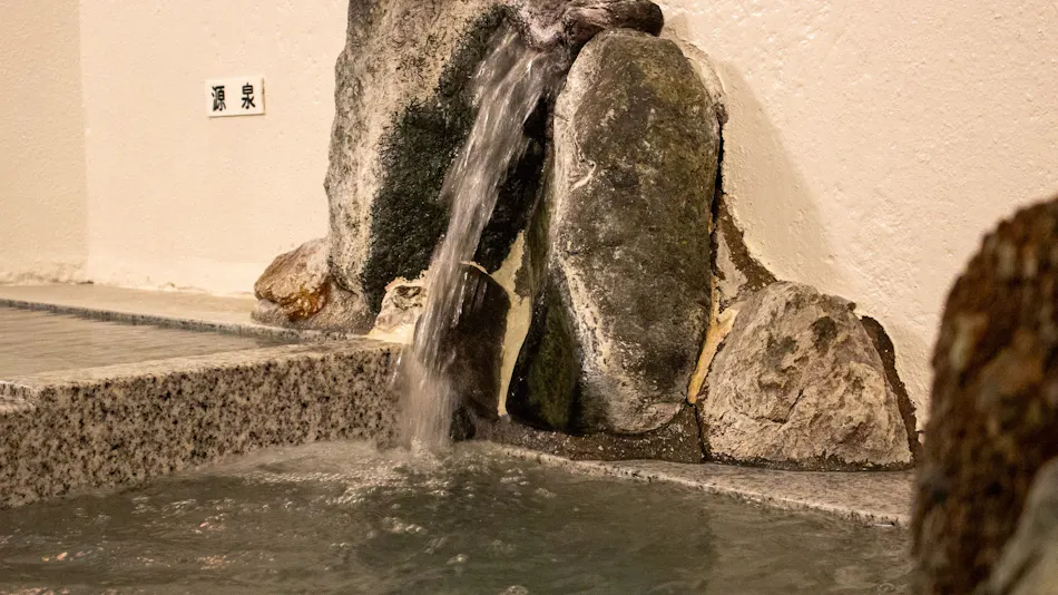 Seiko Ryokan