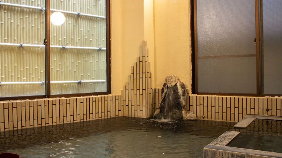 Seiko Ryokan