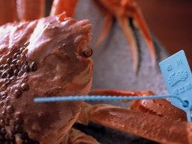 加賀　山代温泉　吉田屋 山王閣