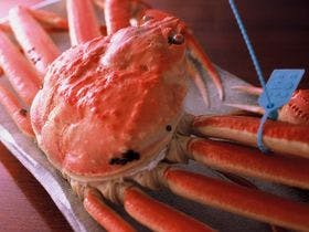 加賀　山代温泉　吉田屋 山王閣