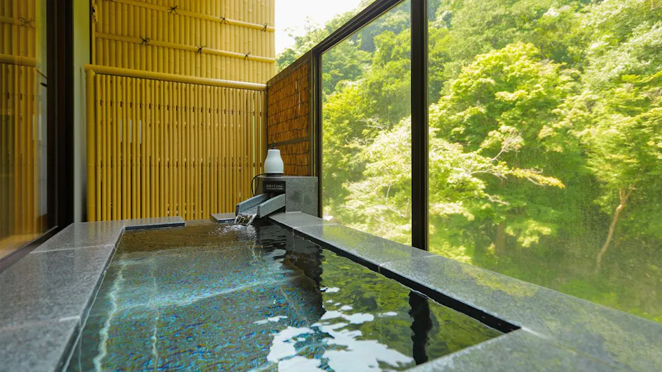 Hakone Yumoto Onsen Tenseien