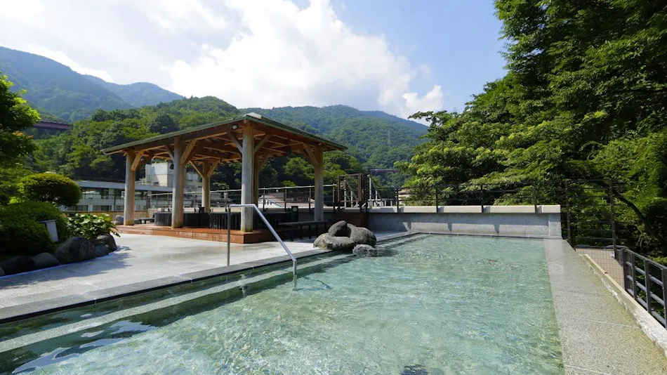Hakone Yumoto Onsen Tenseien