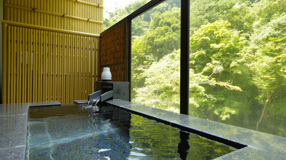 Hakone Yumoto Onsen Tenseien
