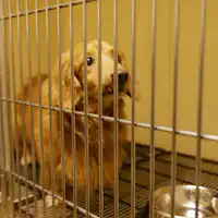 별채에 "완완 하우스"를 준비했습니다 (예약 필요).