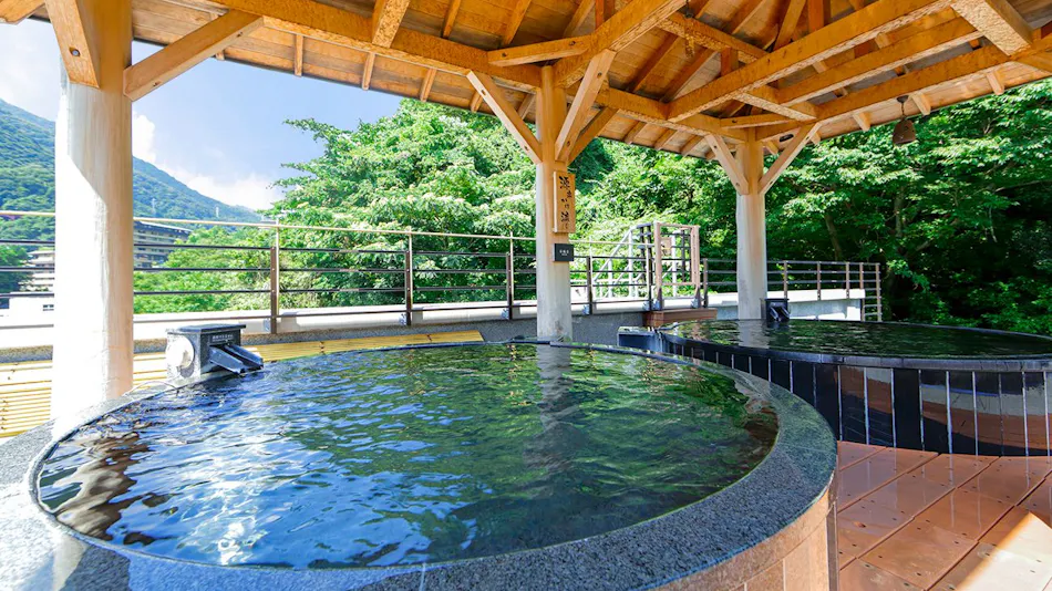 Hakone Yumoto Onsen Tenseien