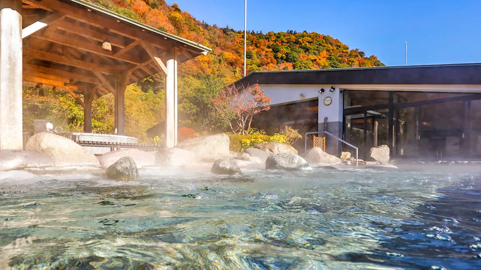 Hakone Yumoto Onsen Tenseien