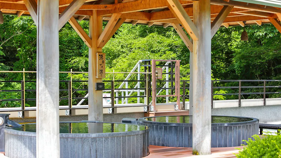 Hakone Yumoto Onsen Tenseien