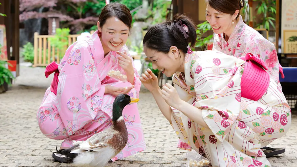 Hakone Yumoto Onsen Tenseien