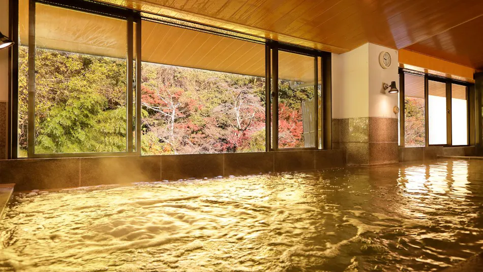 Hakone Yumoto Onsen Tenseien
