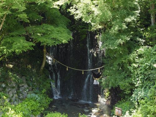 庭園にはパワースポット「玉簾の瀧」