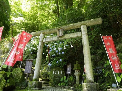 庭園には箱根神社の分宮「玉簾神社」