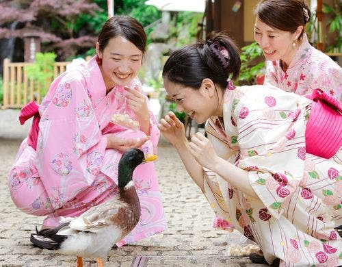 かわいいアヒルや鯉もお出迎え！