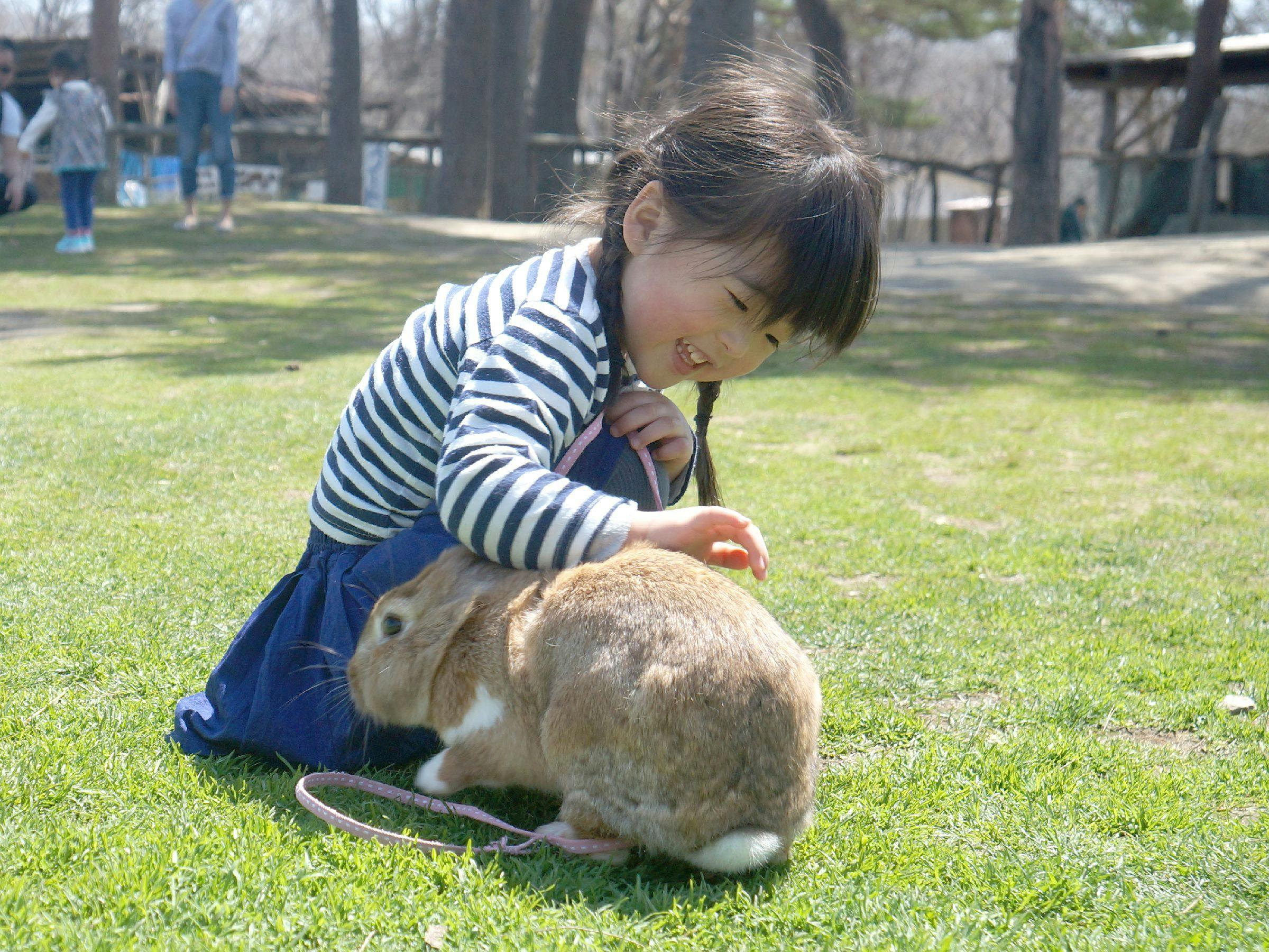 About 5 minutes by car 【Minamigaoka Ranch】