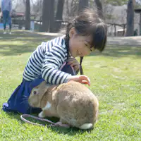 About 5 minutes by car 【Minamigaoka Ranch】