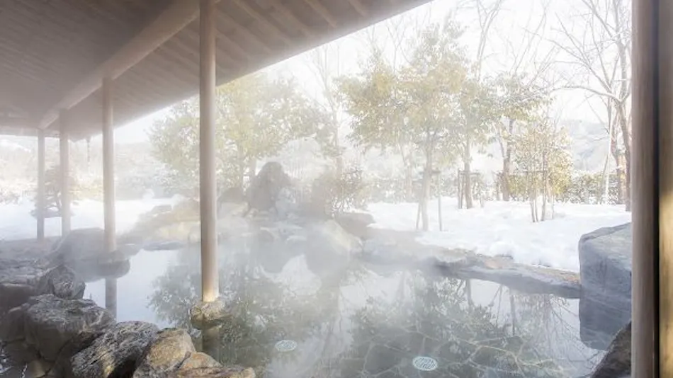 Kamedake Onsen Tamamine Sanso