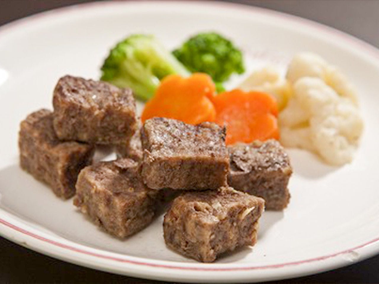 ペットと泊まれる宿　西伊豆　シーガル