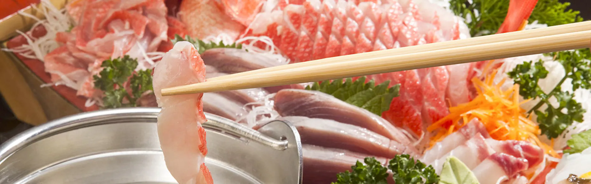 ペットと泊まれる宿 西伊豆 シーガル