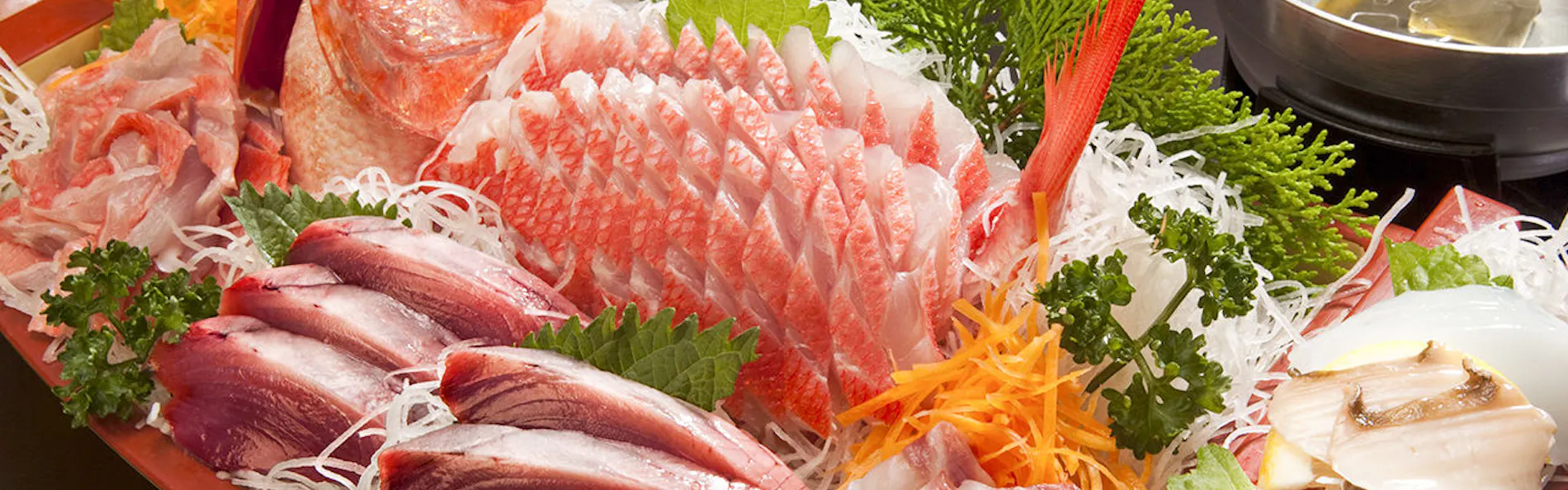 ペットと泊まれる宿 西伊豆 シーガル