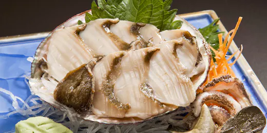 ペットと泊まれる宿 西伊豆 シーガル
