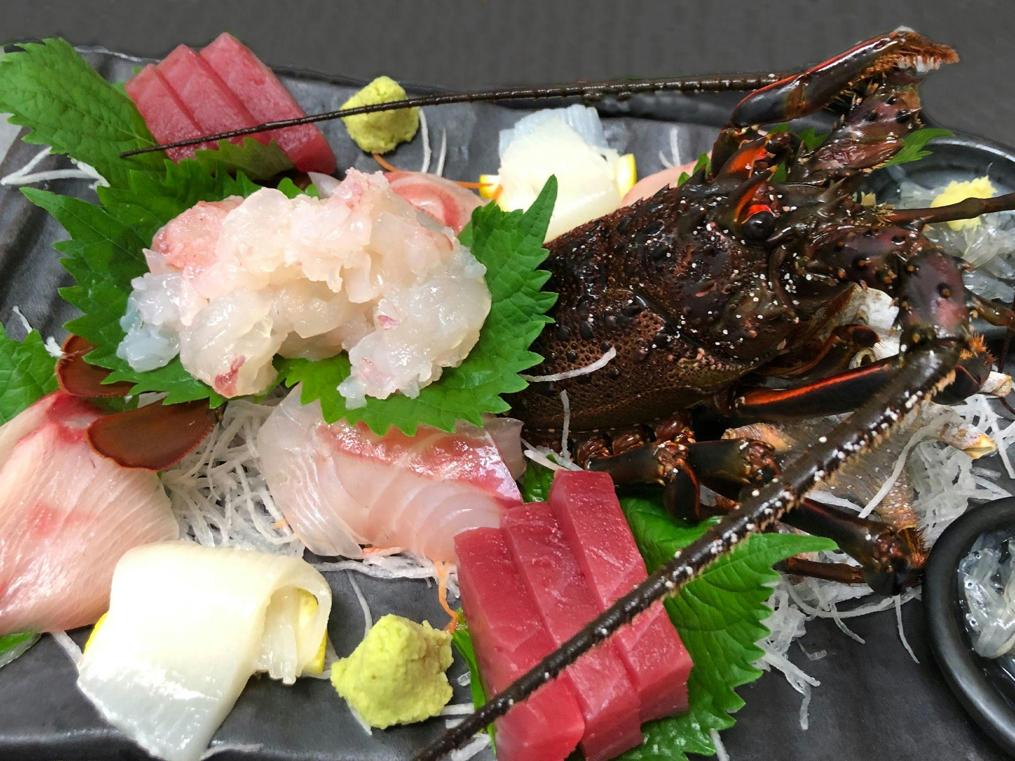 ペットと泊まれる宿　西伊豆　シーガル