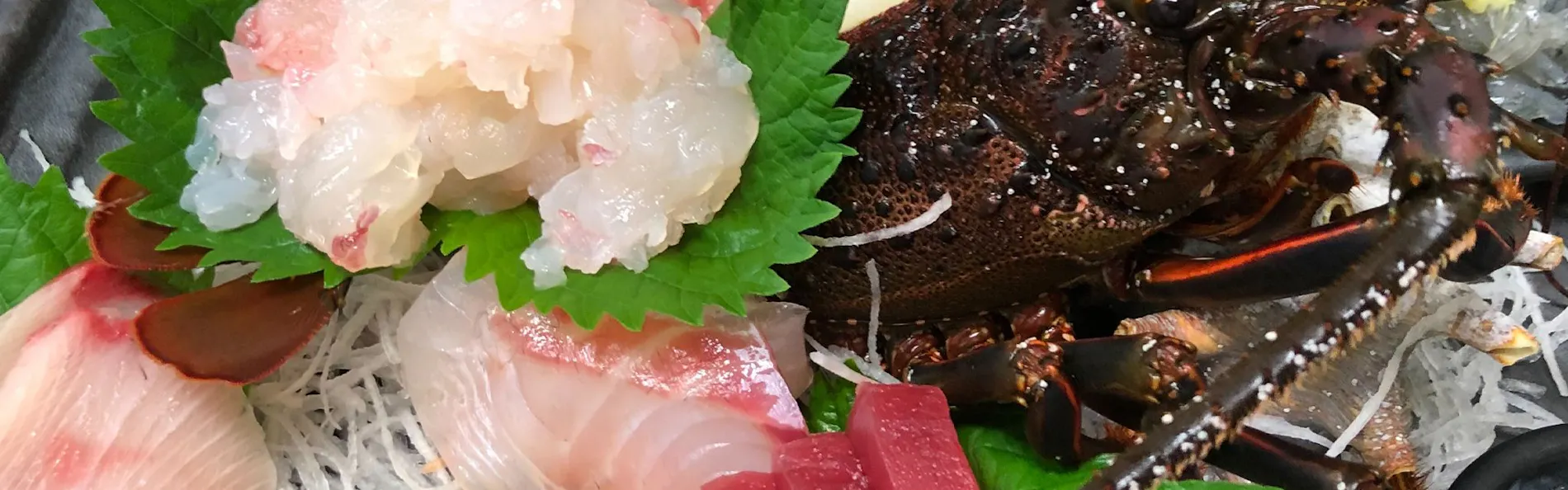 ペットと泊まれる宿 西伊豆 シーガル
