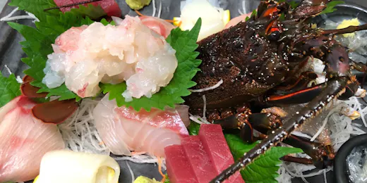 ペットと泊まれる宿 西伊豆 シーガル