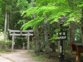 山水館 川湯みどりや