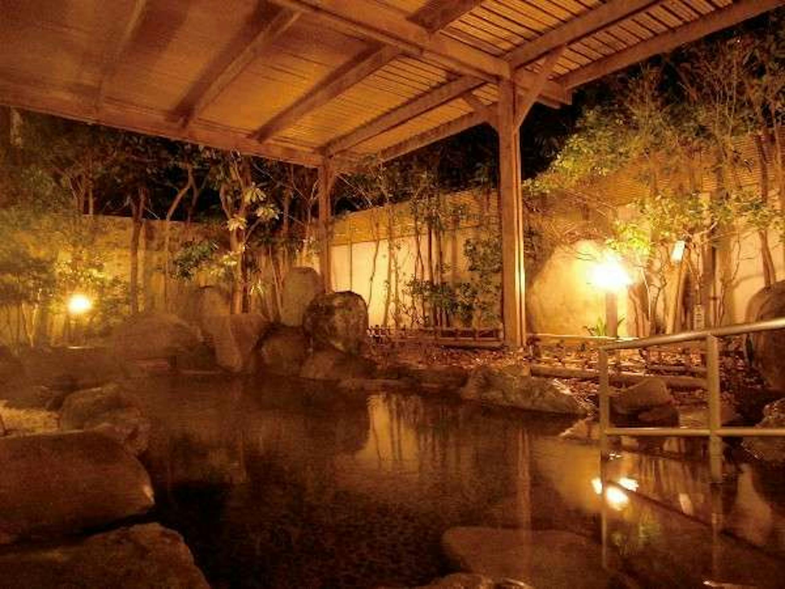志賀の郷温泉・露天温泉岩風呂(夜)