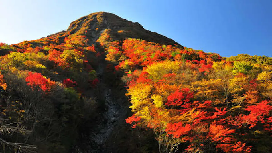 Shugetsu