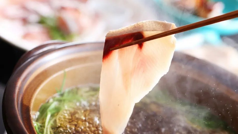 Amanohashidate Onsen Taikyourou