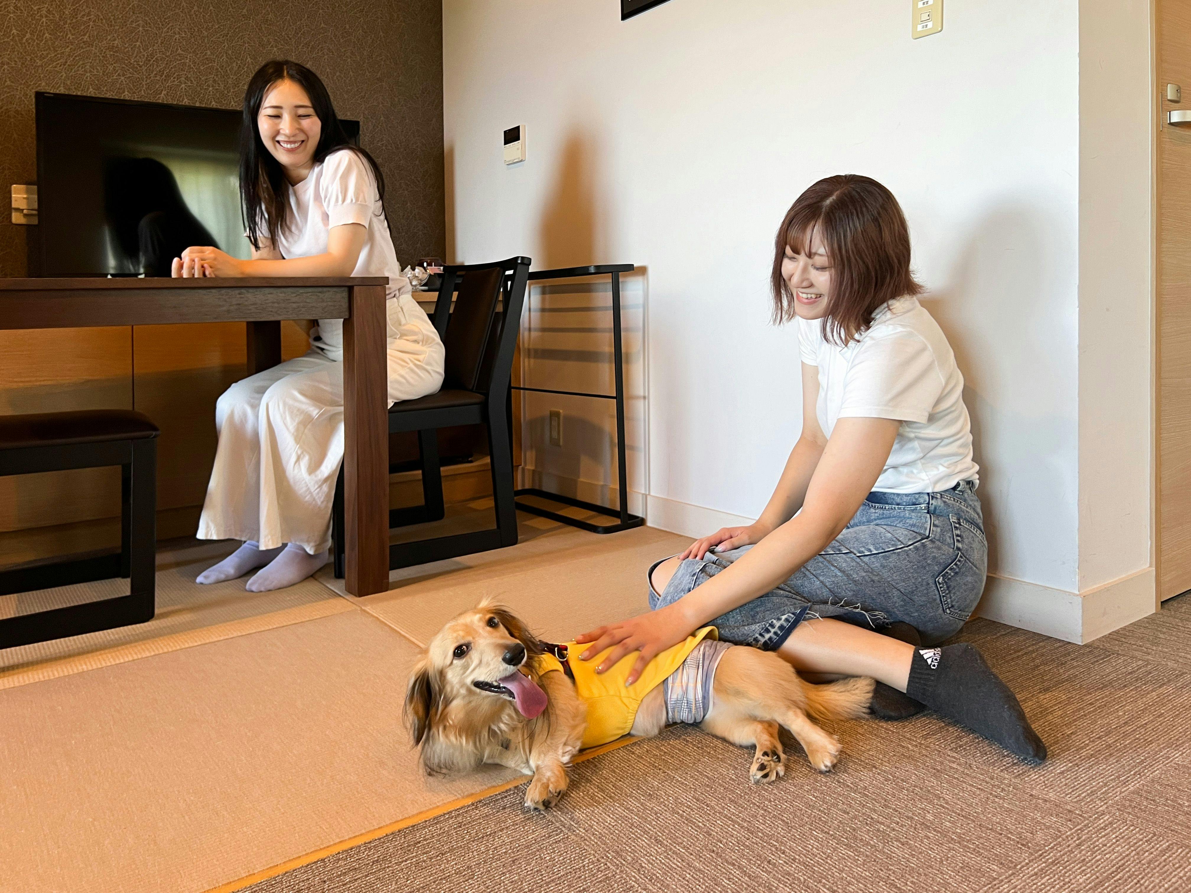 西伊豆グランピング　天空テラス
