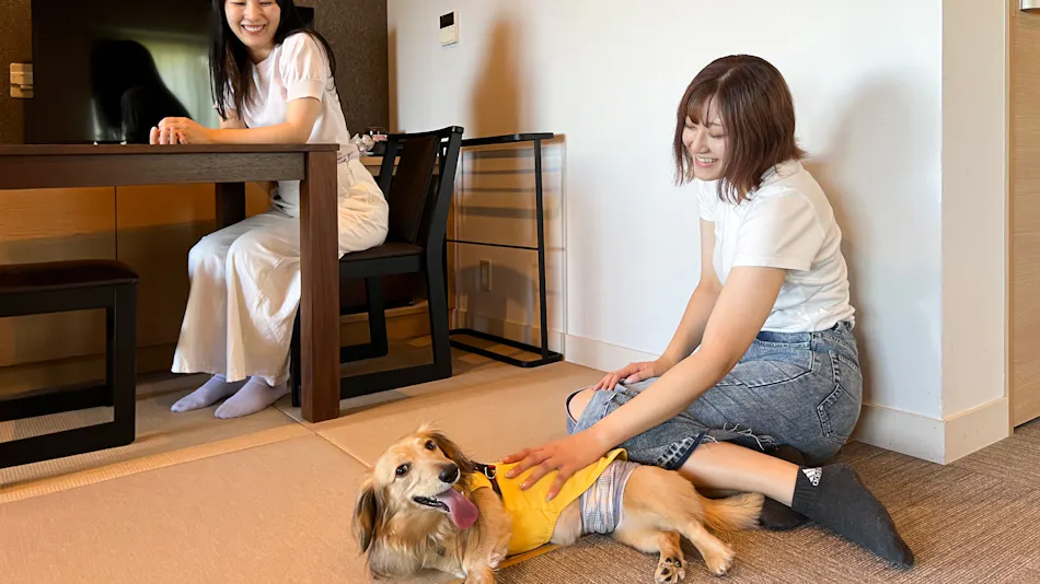 Nishi-Izu Glamping Tenku Terrace