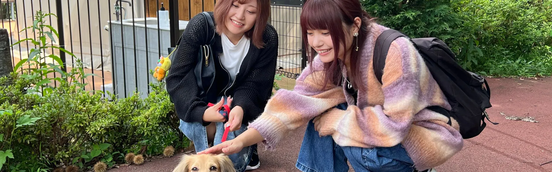 西伊豆グランピング 天空テラス