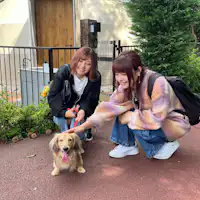 อนุญาตให้นำสัตว์เลี้ยงเข้าพักได้