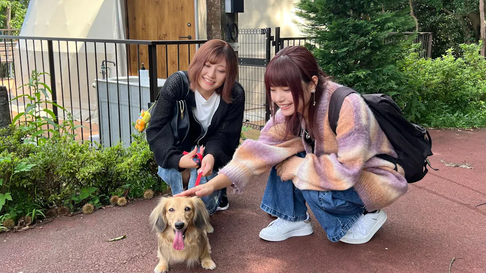 Nishi-Izu Glamping Tenku Terrace