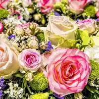 ホールケーキ又は季節のお花をサービス