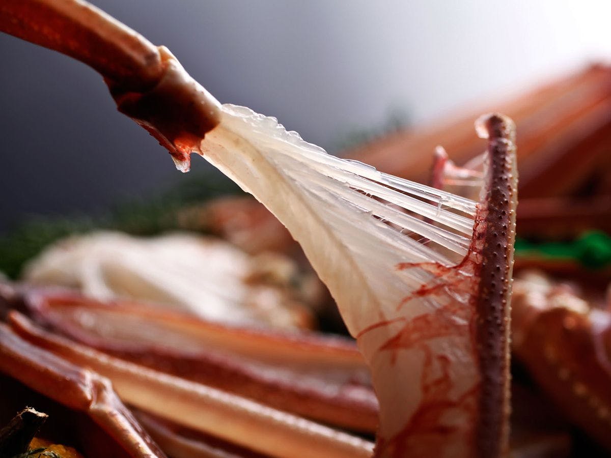 活ガニのお刺身例